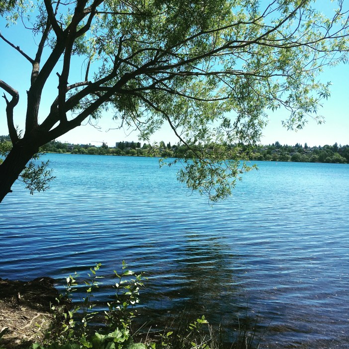 Lake
